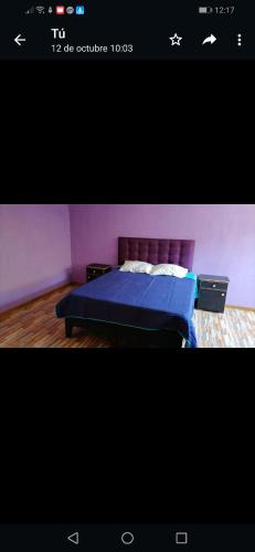 a bedroom with a bed with blue sheets and purple walls at Arriendo casa por dias en olmue in Olmué