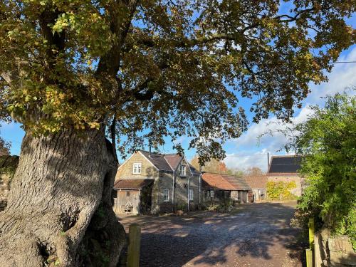 a large tree in front of a house at The Bothy at Oak Farm in Usk