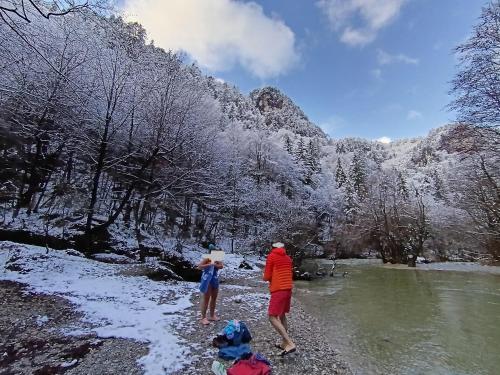 Φυσικό τοπίο κοντά σε αυτό το σαλέ