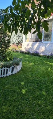 a yard with green grass and a house at Ebruli Cennet Bahçesi in Nevsehir