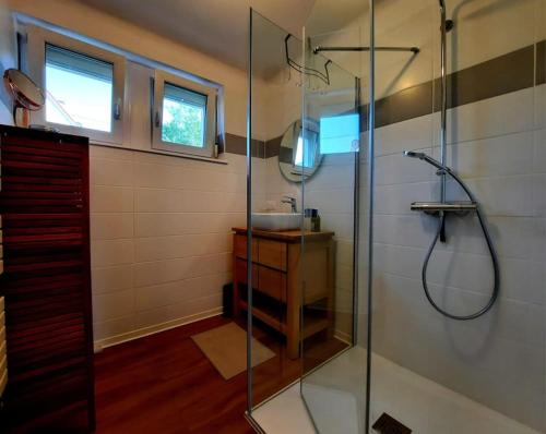 une salle de bain avec une douche en verre avec un lavabo dans l'établissement Rooms 4 persons Kaysersberg, à Kaysersberg