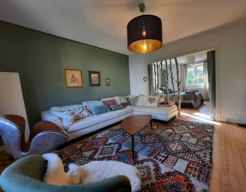 un salon avec un canapé et un tapis dans l'établissement Rooms 4 persons Kaysersberg, à Kaysersberg