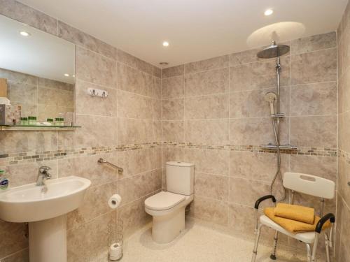 ein Bad mit einem WC und einem Waschbecken in der Unterkunft Chequers Barn in Corsham