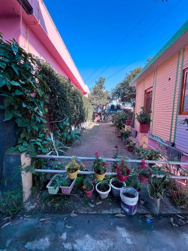 Homestay Haldwani – Photos 4