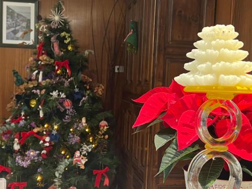 a christmas tree with a cake in front of it at Hostal Pirineos in Barbastro