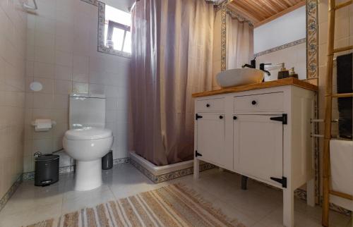 a bathroom with a toilet and a sink and a shower at Country House - Quinta das 3 Nogueiras in Abitureiras