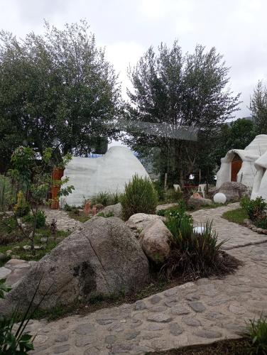 Cocoons hostel