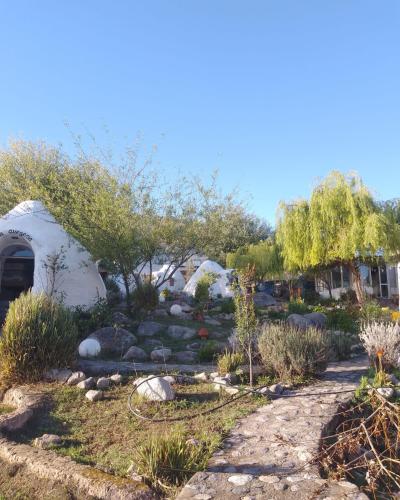 Cocoons hostel – Photos 2