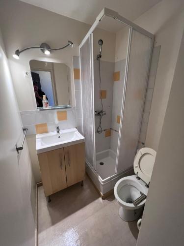 une salle de bain avec une douche, des toilettes et un lavabo dans l'établissement T2 cosy, pieds des pistes 4 pers. centre station, à Les Deux Alpes