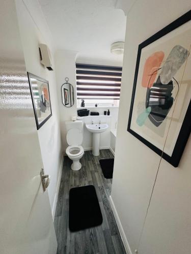 La salle de bains est pourvue de toilettes et d'un lavabo. dans l'établissement one bed apartment sleeps up to 4, à Ipswich