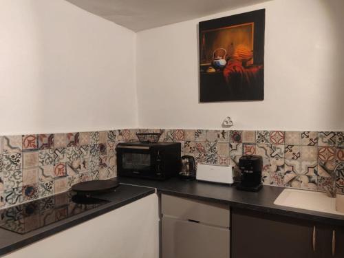 a kitchen with a counter top with a microwave at Maison Bernabet - Rooftop avec vue sur la Montagne Pelée in Saint-Pierre