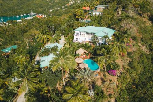 z góry widok na dom na wzgórzu z palmami w obiekcie Amazing mountain top home with stunning views w mieście Marigot