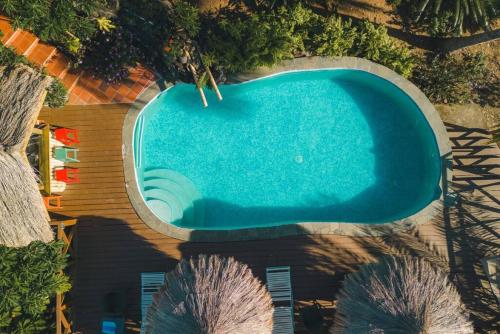 an overhead view of a swimming pool with palm trees at Modern 1 bed guesthouse with pool and ocean view in Marigot