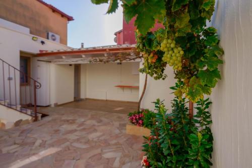 a bunch of grapes hanging from a building at Guest House Deidda - TS ROOMS B&B in San Sperate