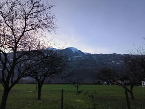 a mountain in the distance with trees in a field at La sapinette avec jaccuzzi in La Bâthie