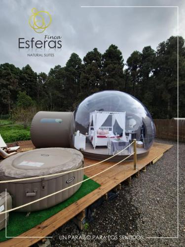 a iguana tent on a trailer with a camper in it at Finca Esferas in La Guancha