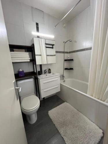 a bathroom with a toilet and a tub and a sink at 85m2 au centre-ville à 2 pas du Jet d'eau in Geneva