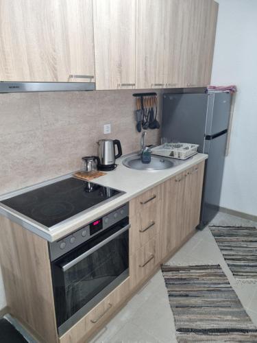 uma cozinha com um fogão, um lavatório e um frigorífico em House Apartment Azra em Saraievo