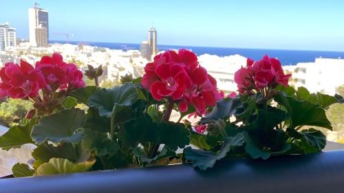 Un mazzo di fiori rosa nel davanzale di una finestra di St. Julian's Super Bright And Spacious Seaview Apartment a San Giuliano