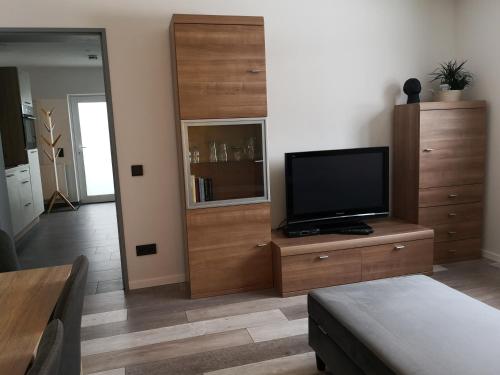 uma sala de estar com televisão numa cómoda de madeira em Apartment in Nonnweiler-Otzenhausen em Nonnweiler