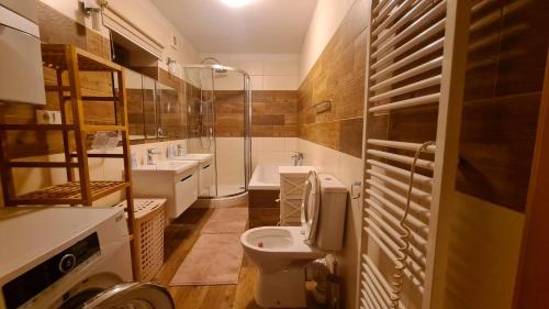 a bathroom with a toilet and a sink at Villa Harta in Vrchlabí