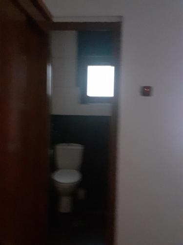 baño con aseo y ventana en Hanul Anitei La paducel 