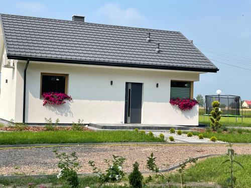 Leśny Horyzont Bałtów