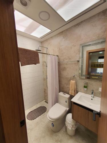 ein Bad mit einem WC, einer Dusche und einem Waschbecken in der Unterkunft Viento Susurrante in Santa Isabel