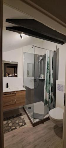 La salle de bains est pourvue d'une douche en verre et de toilettes. dans l'établissement Cityapartment Luna, à Schwandorf in Bayern