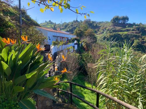 una casa al lado de una colina con flores en BELLA DORAMAS Casas Rurales Panchita & Millo, en Moya