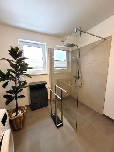 ein Badezimmer mit einer Dusche und einer Topfpflanze in der Unterkunft Winterberg Appartement 21129 in Winterberg