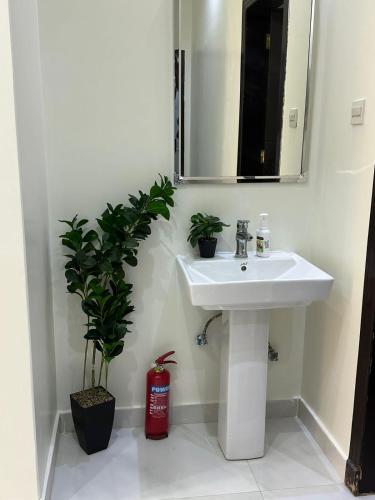 a bathroom with a sink and two potted plants at Here we go in Riyadh