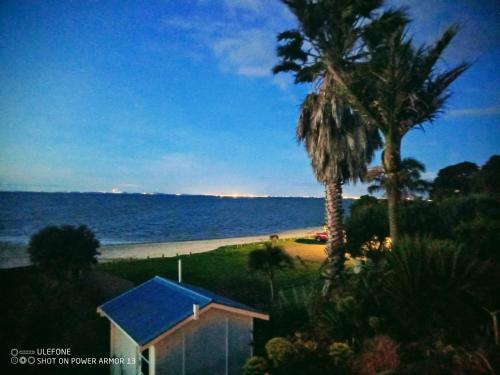 - une vue sur la plage avec une maison et des palmiers dans l'établissement Clarks beach batch snatch, à Auckland