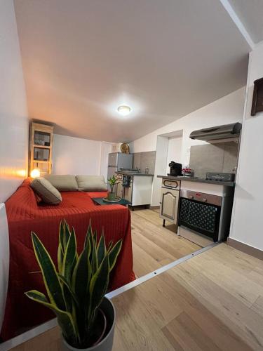 a small room with a bed and a kitchen at Les Studios Parfaitement Imparfaits - Lens Louvre-Bollaert in Lens