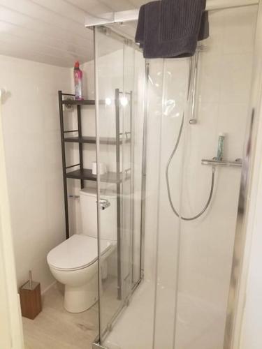 une salle de bain avec toilettes et douche en verre dans l'établissement Cocon 3 climatisé bien au frais, à Périgueux