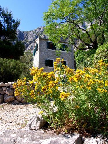 Holiday Home Dalmatinska Kuća