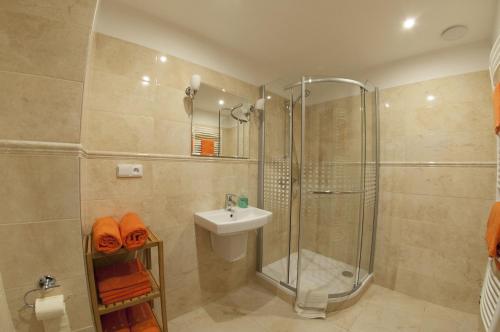 a bathroom with a shower and a sink at Slovácká chalupa in Strážnice