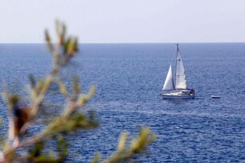 una barca a vela nell'oceano con di Holiday Homes in Barban - Istrien 10863 a Barban