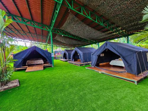 Κήπος έξω από το Arenal Backpackers Resort