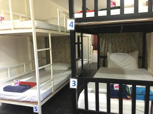 4 lits superposés dans un dortoir avec des numéros. dans l'établissement Golden Bee PhiPhi, sur les Îles Phi Phi