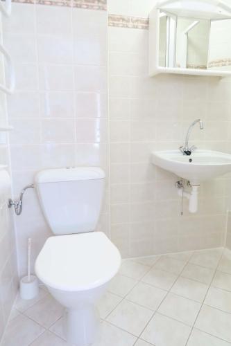 a white bathroom with a toilet and a sink at Horský pension Gendorf in Cerny Dul
