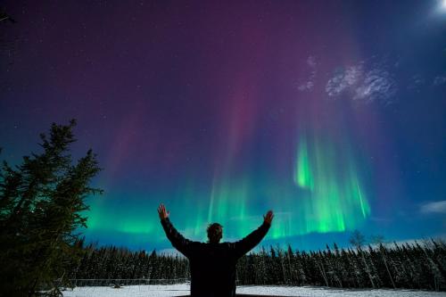 um homem de pé com as mãos para cima na frente da aurora boreal em Pleasant Acres Reindeer Ranch em Pleasant Valley