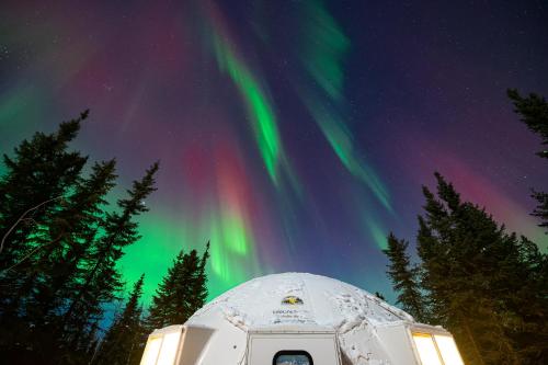 un igloo avec l'aurore dans le ciel dans l'établissement Pleasant Acres Reindeer Ranch, à Pleasant Valley