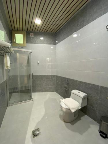 a bathroom with a toilet and a shower at فندق الفاو بلازا in Sharurah