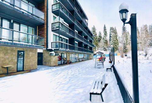 Cozy Apartment in Bakuriani, Apart Hotel Art, Kokhta en invierno