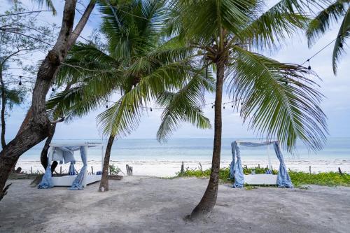 a wedding set up on the beach with palm trees at Pili Pili Orient Beach Hotel in Bwejuu