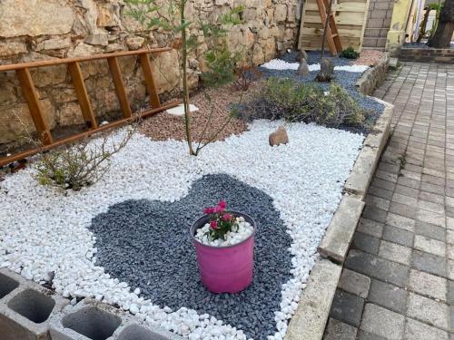 a garden with a pink pot with a plant in it at la coquine, love room, romantique in Toulon