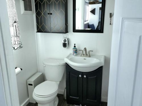 a bathroom with a toilet and a sink and a mirror at Tiny Home Hot Tub in Colorado City