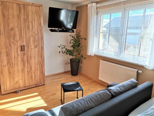 AlbrechtsにあるFerienwohnung Fuchsのソファとテレビのあるリビングルーム