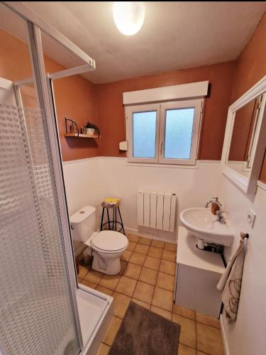 a bathroom with a toilet and a sink and a shower at Bel appartement rénové (Le Nichoir) in Cornimont